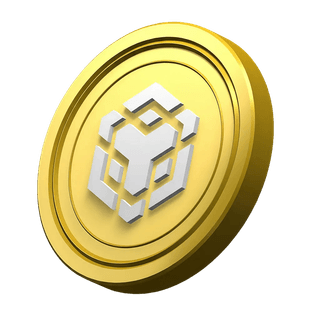 Decorative BNB coin placed in the platform's information section